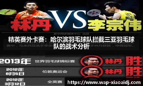 精英赛外卡赛：哈尔滨羽毛球队拦截三亚羽毛球队的战术分析