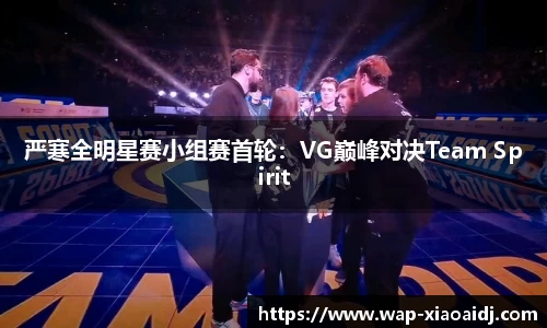 严寒全明星赛小组赛首轮：VG巅峰对决Team Spirit