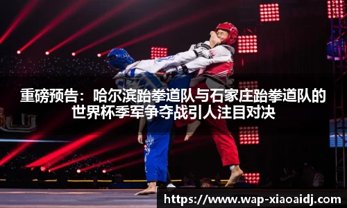 重磅预告：哈尔滨跆拳道队与石家庄跆拳道队的世界杯季军争夺战引人注目对决