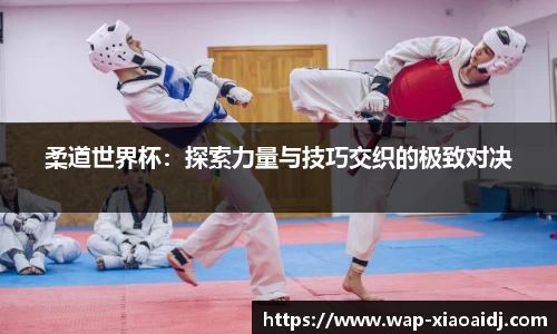 小艾电竞官方正版网站