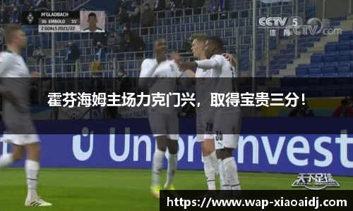 霍芬海姆主场力克门兴，取得宝贵三分！